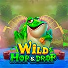 Wils Hop&Drop game thumbnail
